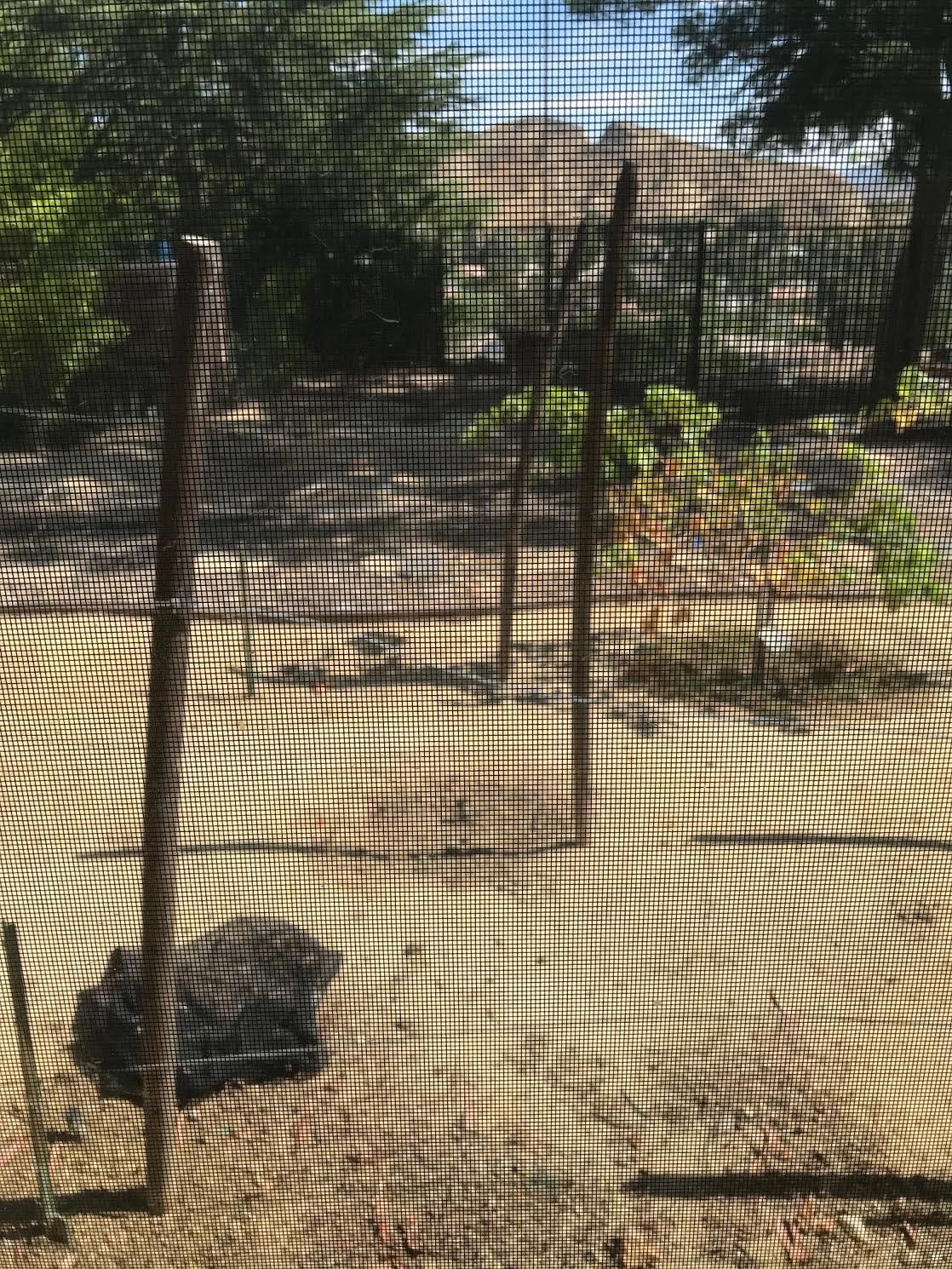 Castaic Canyon Estate