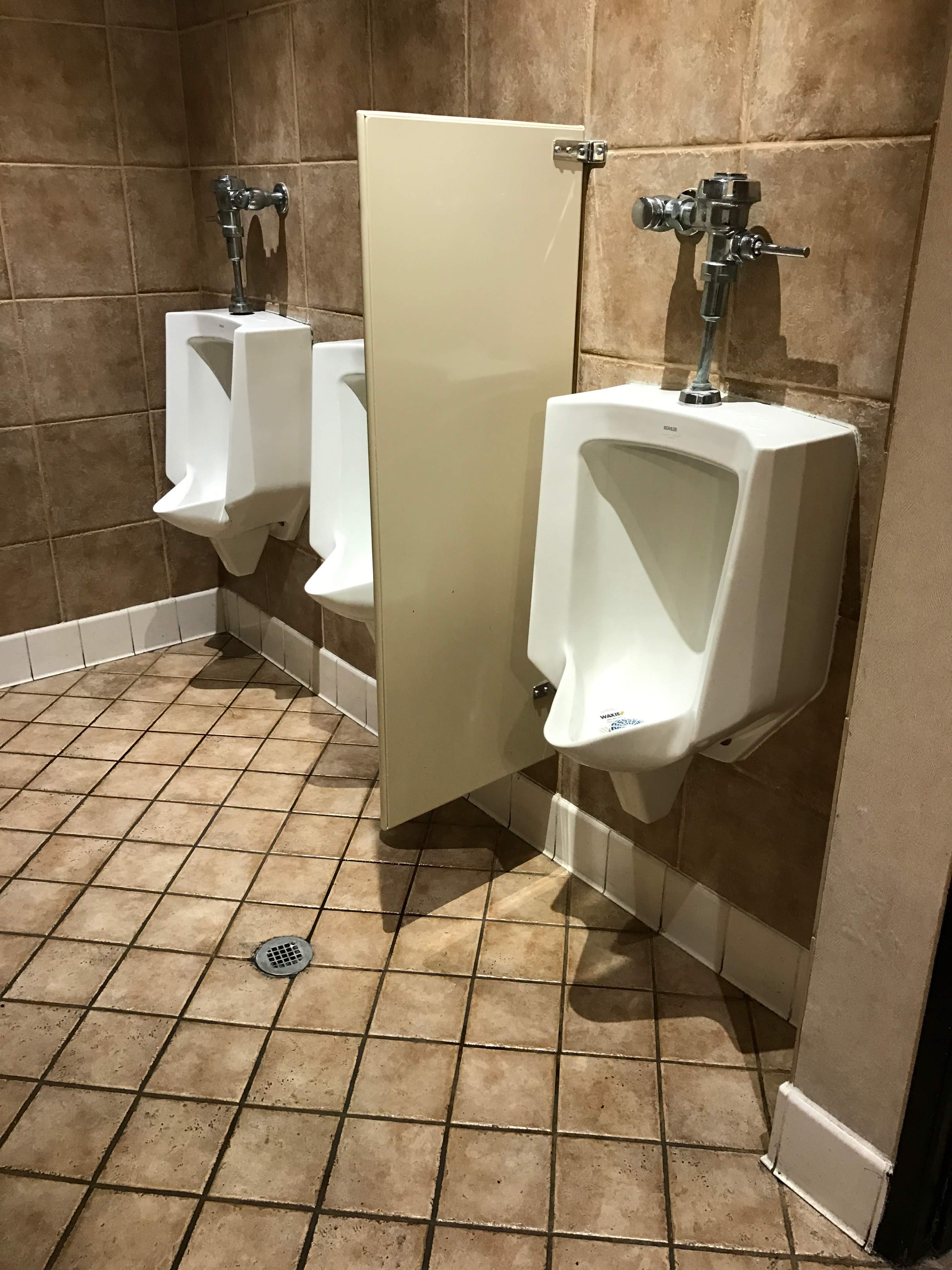 V's Vibrant Club — photo 3