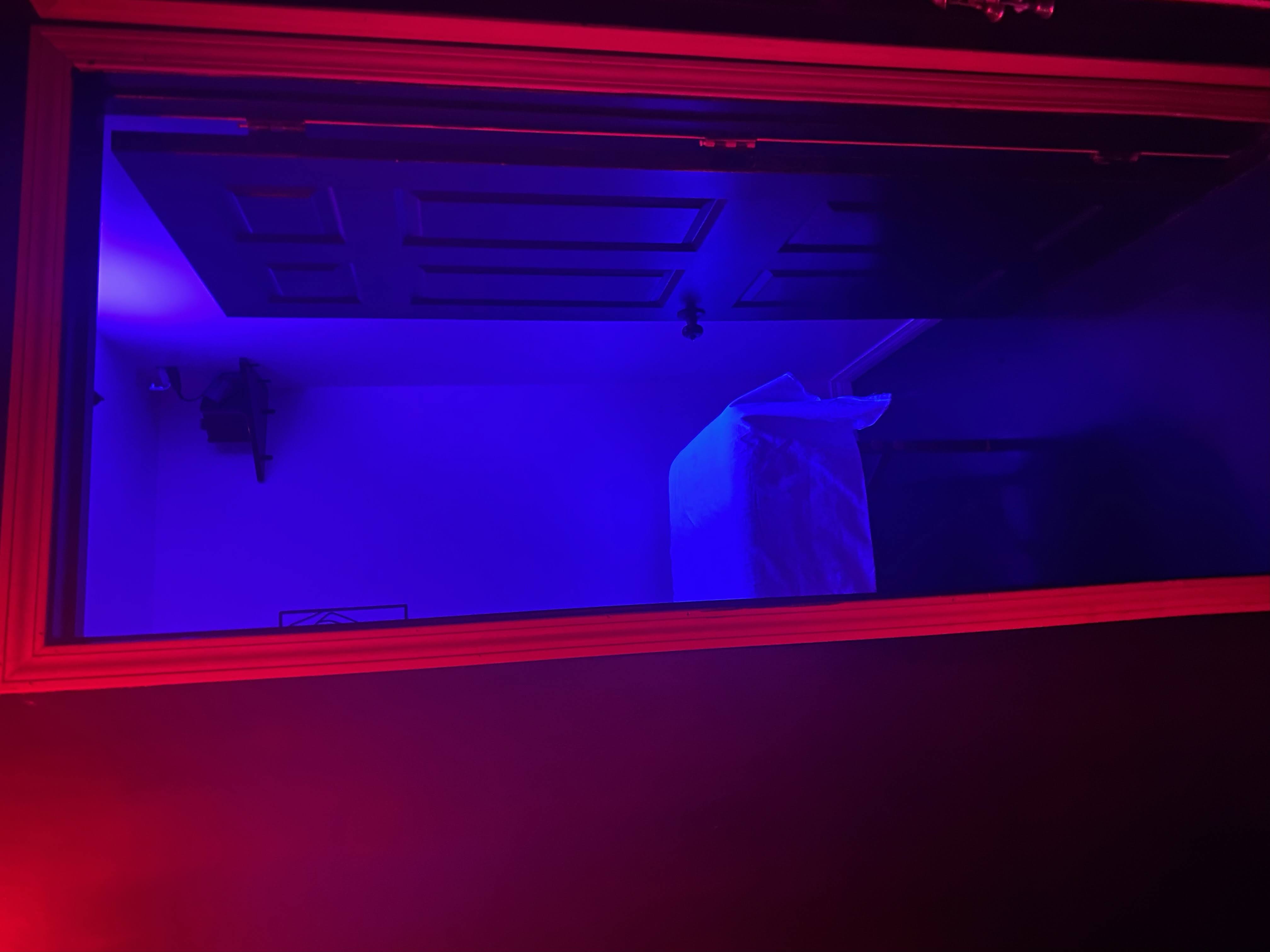 Z's Night Club — photo 12