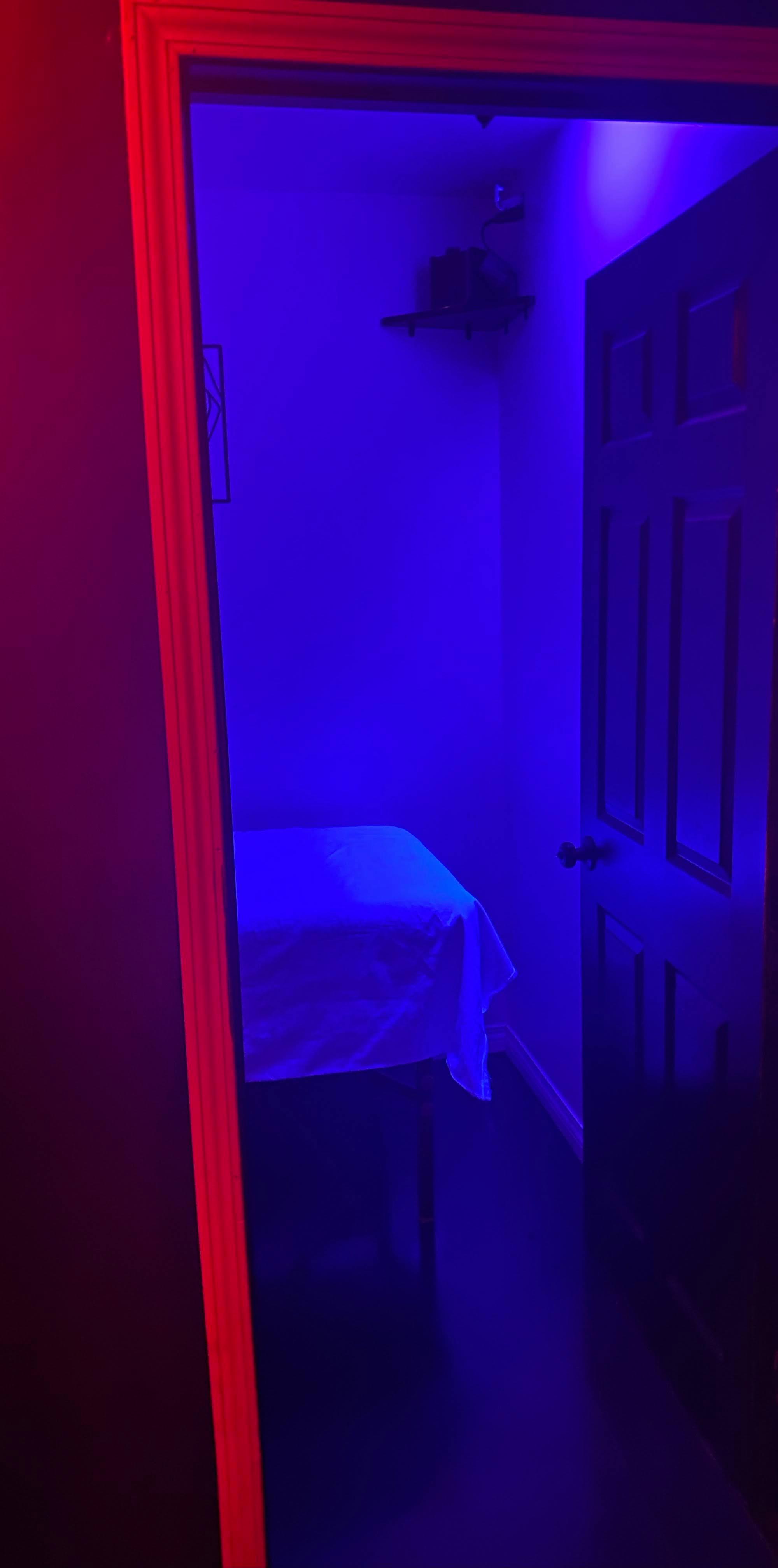 Z's Night Club — photo 11